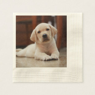 Serviette En Papier Baby Yellow Labrador Puppy Dog posé sur le ventre