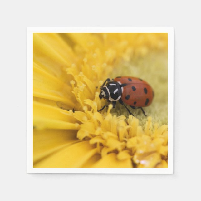 Serviette En Papier Bague (Devant)