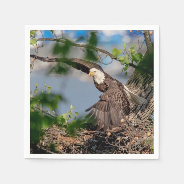 Serviette En Papier Bald Eagle quittant le nid (Devant)