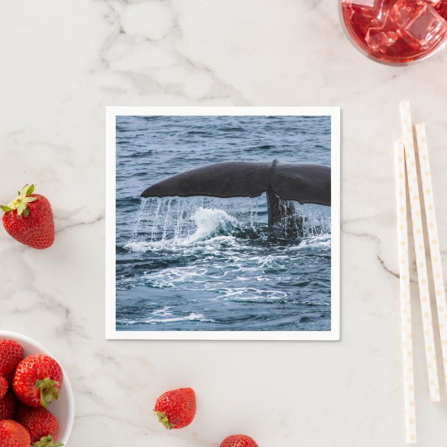 Serviette En Papier Baleine de Sperm (En situation)