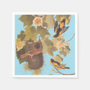 Serviette En Papier Baltimore Oriole Audubon Bird Family avec nid