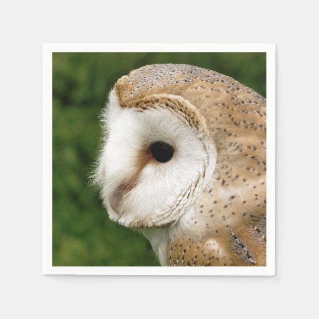 SERVIETTE EN PAPIER BARN OWL (Devant)