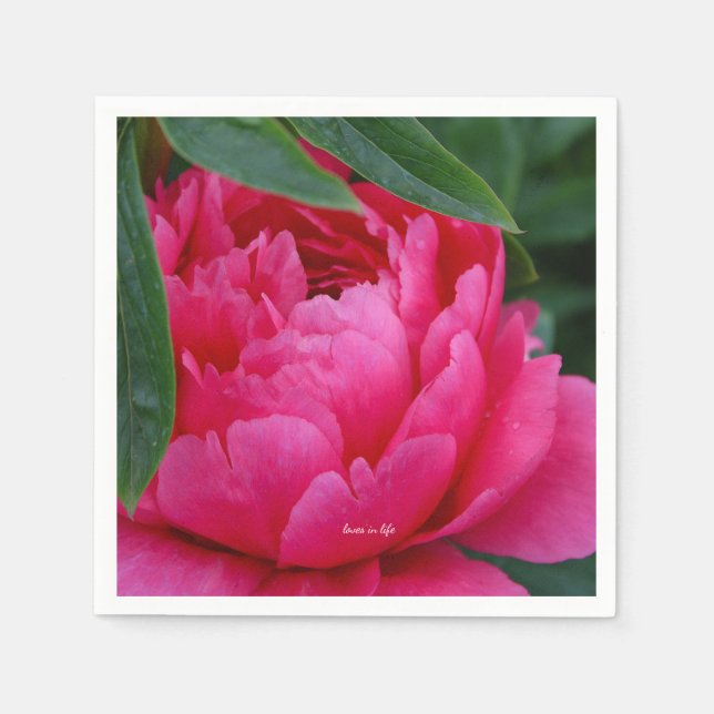 Serviette En Papier Bashful Pink Peony (Devant)