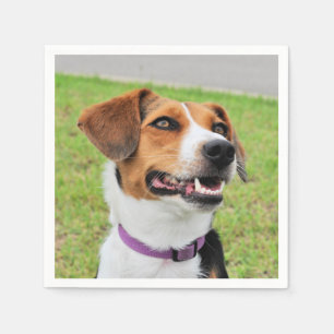 Serviette En Papier Beagle