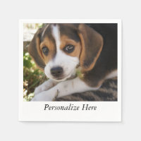 Beagles chiots