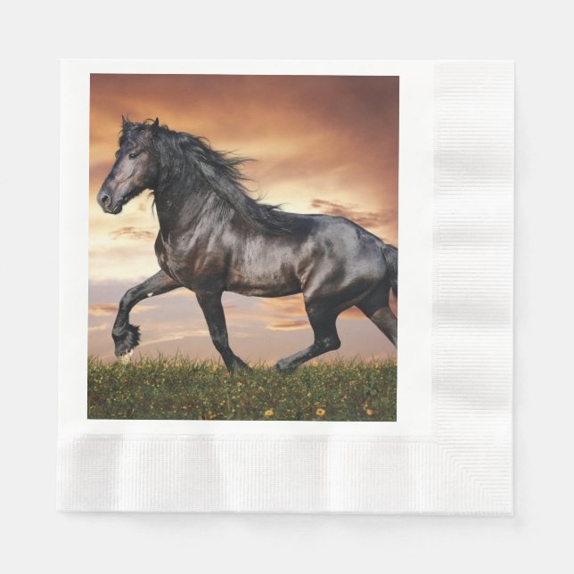 Serviette En Papier Beau Cheval Noir (Devant)