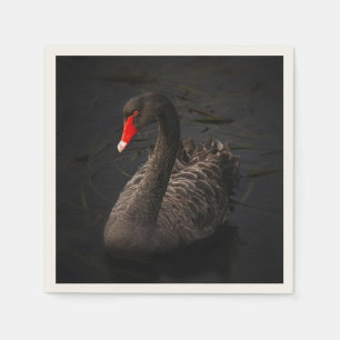 Serviette En Papier Beau cygne noir avec un bec rouge vif