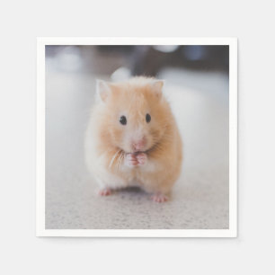 Serviette En Papier Beau hamster