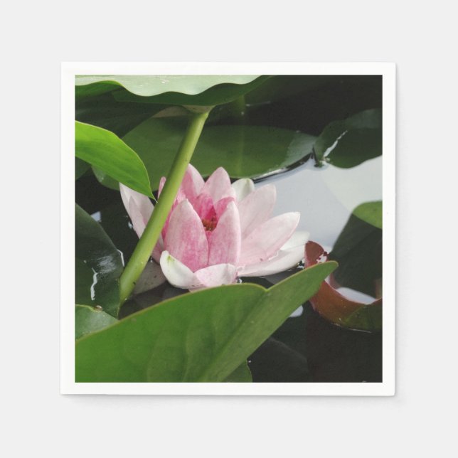 Serviette En Papier Beau Lotus Flower Cocktail Napkin (Devant)
