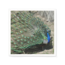Beau Peacock