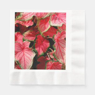 SERVIETTE EN PAPIER BEAUX PLANTES DE CALADIUM ROSE CLAIR
