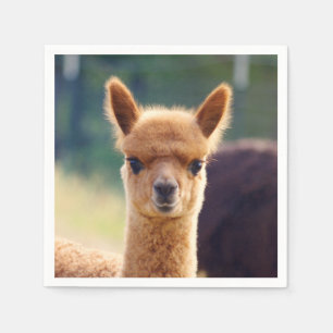 Serviette En Papier Bébé Alpaca Standard Cocktail Napkin