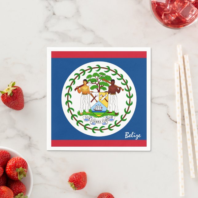 Serviette En Papier Belize & Belize Flag party mode / fans de sport (En situation)