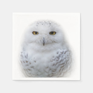 Serviette En Papier Belle, Dreamy et Serene Snowy Owl