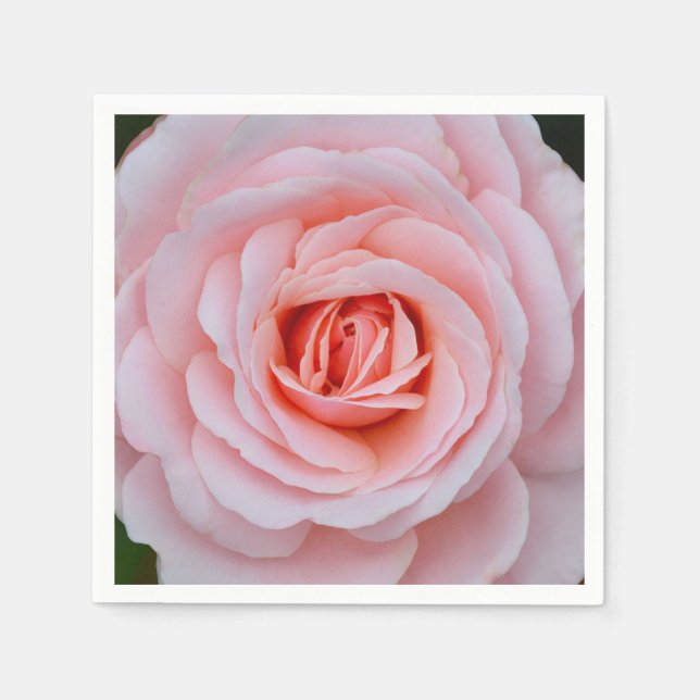 Serviette En Papier Belle rose rose (Devant)