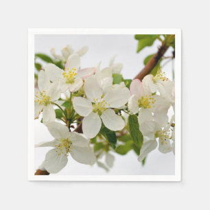 Serviette En Papier Belles fleurs blanches