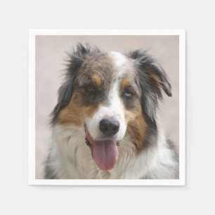 Serviette En Papier berger australien merle