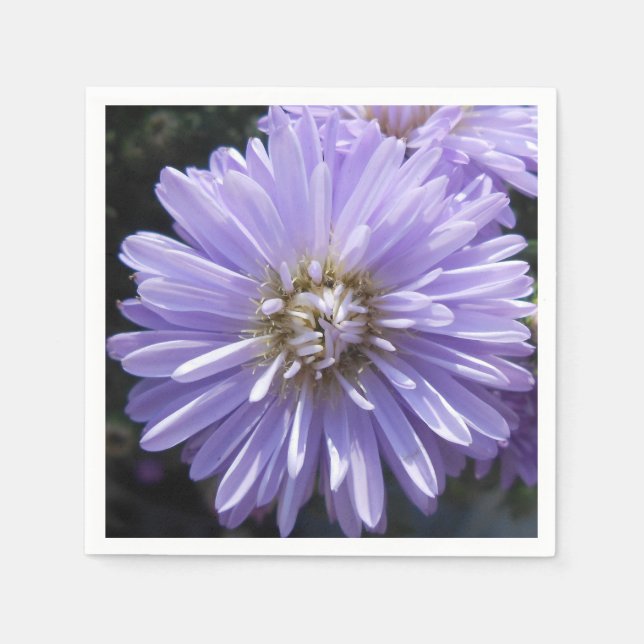 Serviette En Papier Berlinette (Devant)