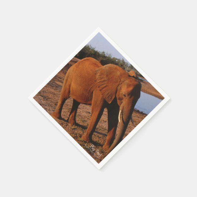 Serviette En Papier Big Red (Coin)