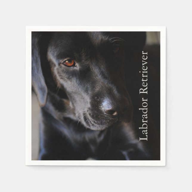 Serviette En Papier Black Labrador Retriever (Devant)