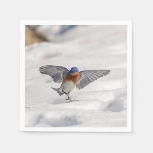 Serviette En Papier Bluebird oriental dansant dans la neige