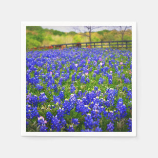 Serviette En Papier Bluebonnets au Texas