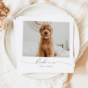 Serviette En Papier Boissons Sur Moi Mariage Animal De Compagnie