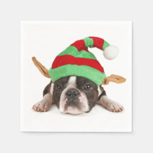 Serviette En Papier Boston Terrier Avec Un Casquette De Noël