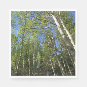 Serviette En Papier Bouleaux d'été aux Montagnes Rocheuses