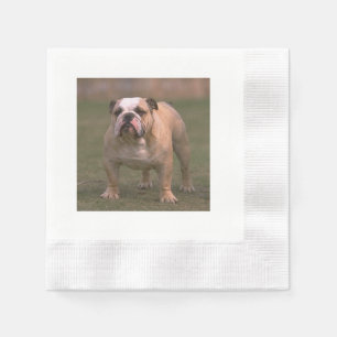 Serviette En Papier bouledogue plein 2.png