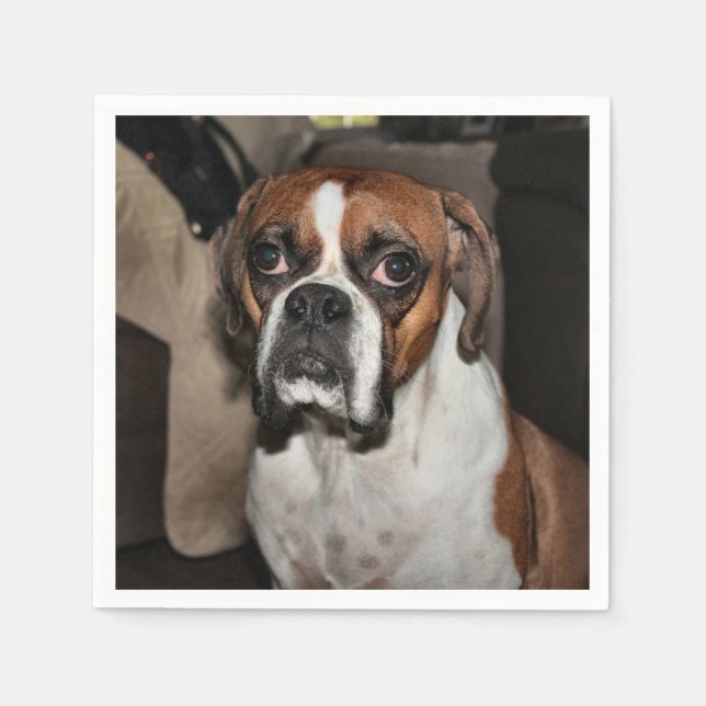 Serviette En Papier Boxer (Devant)