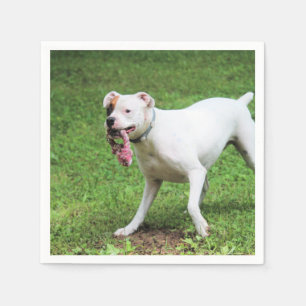 Serviette En Papier Boxer
