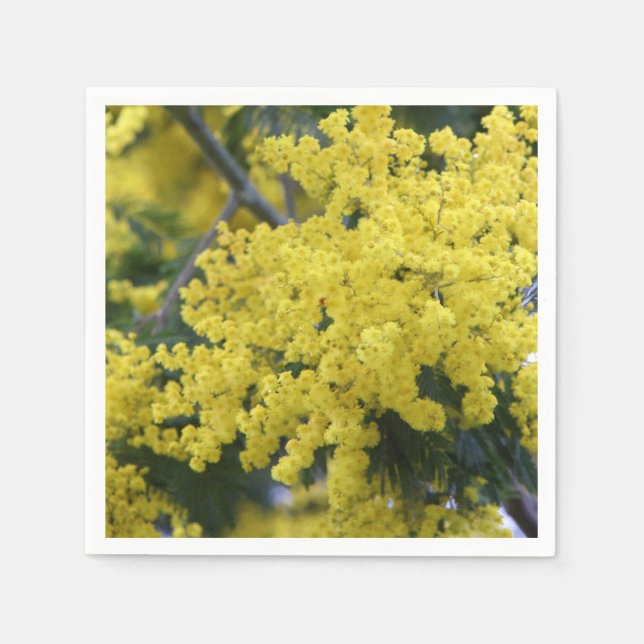 Serviette En Papier Branche de mimosa (Devant)