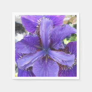 Serviette En Papier Brandeis