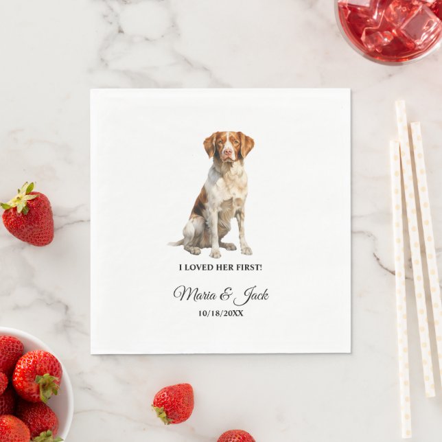 Serviette En Papier Bretagne Spaniel Pet Cocktail Mariage (En situation)