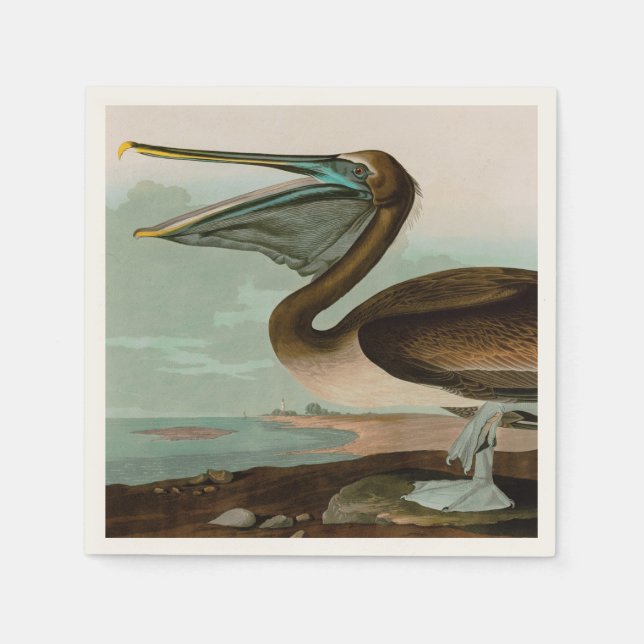 Serviette En Papier Brown Pelican Birds of America Audubon (Devant)
