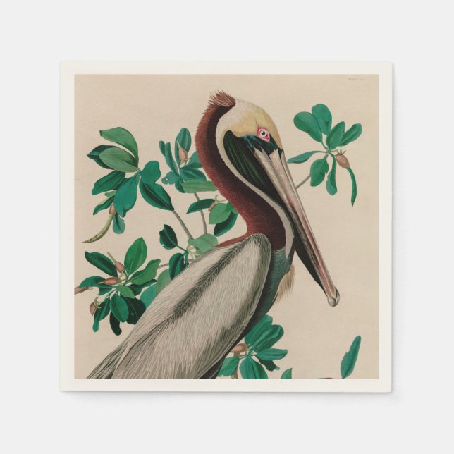 Serviette En Papier Brown Pelican Birds of America Audubon (Devant)