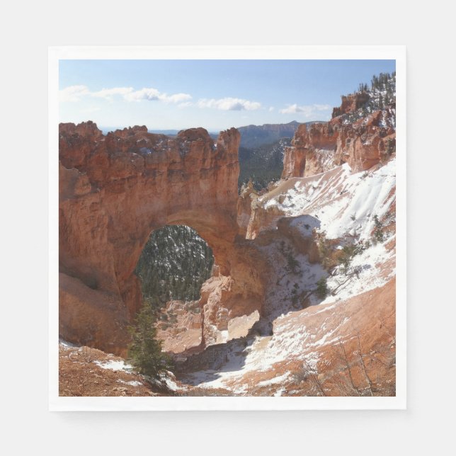 Serviette En Papier Bryce Canyon Pont naturel Paysage neigeux Photo (Devant)