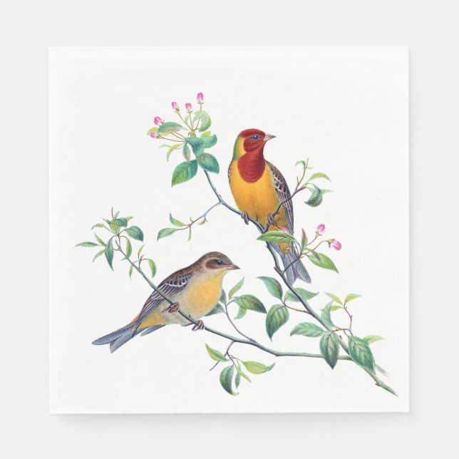 Serviette En Papier Bunting Birds sur Branches (Devant)