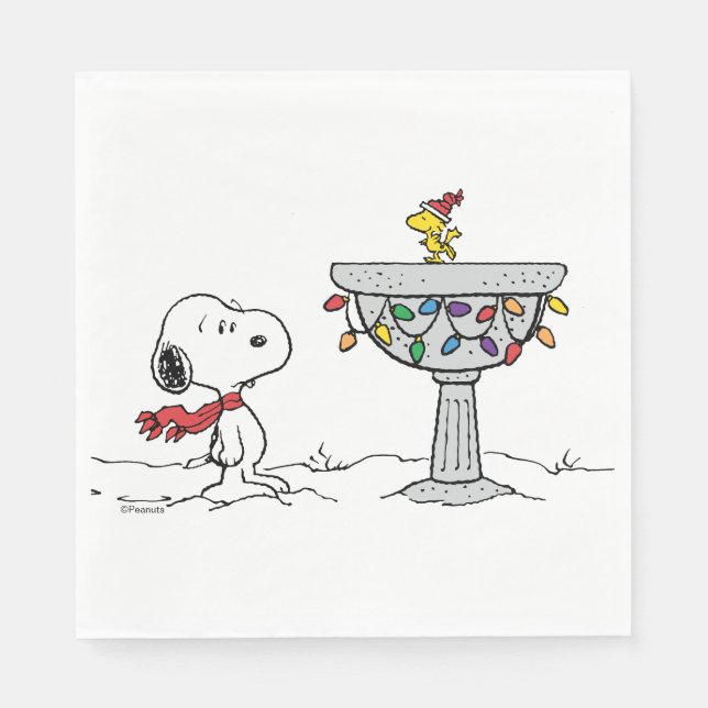 Serviette En Papier cacahuètes | Snoopy & Woodstock Froid Birdbath (Devant)