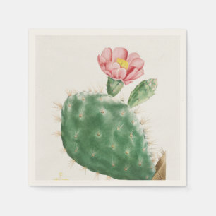 Serviette En Papier Cactus Cochenillifer, Illustration Antique, 1799