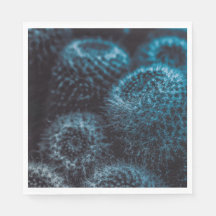Cactus foncé