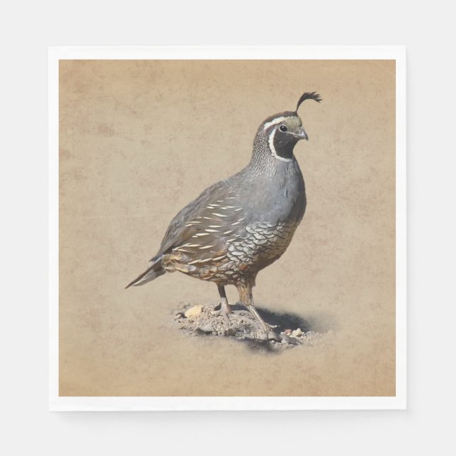 SERVIETTE EN PAPIER CALIFORNIE QUAIL (Devant)