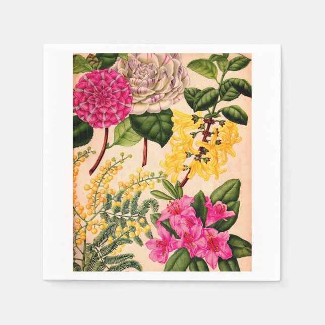 Serviette En Papier camélia, forsythie, rhododendron et acacia (Devant)