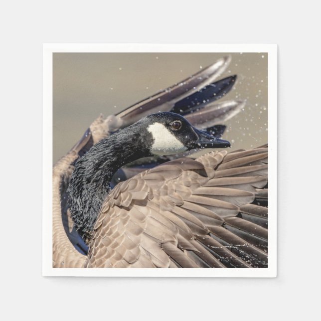 Serviette En Papier Canada Goose (Devant)