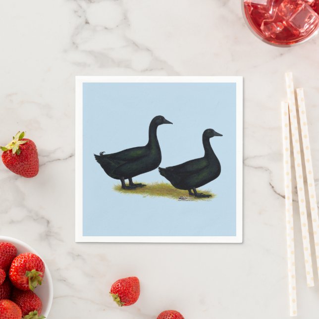 Serviette En Papier Canards : Cayugas noirs (En situation)