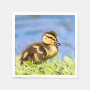 Serviette En Papier Caneton de Mallard