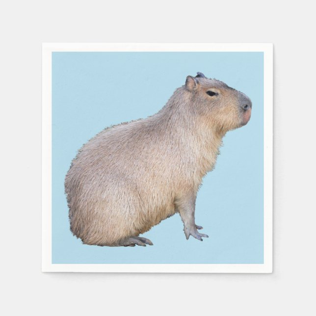 Serviette En Papier Capybara (Devant)