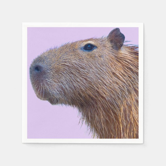 Serviette En Papier Capybara (Devant)