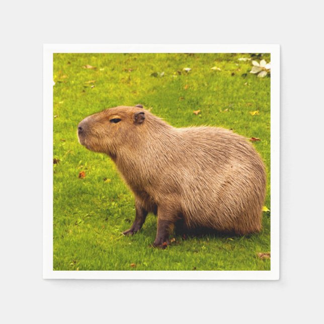 Serviette En Papier Capybara (Devant)